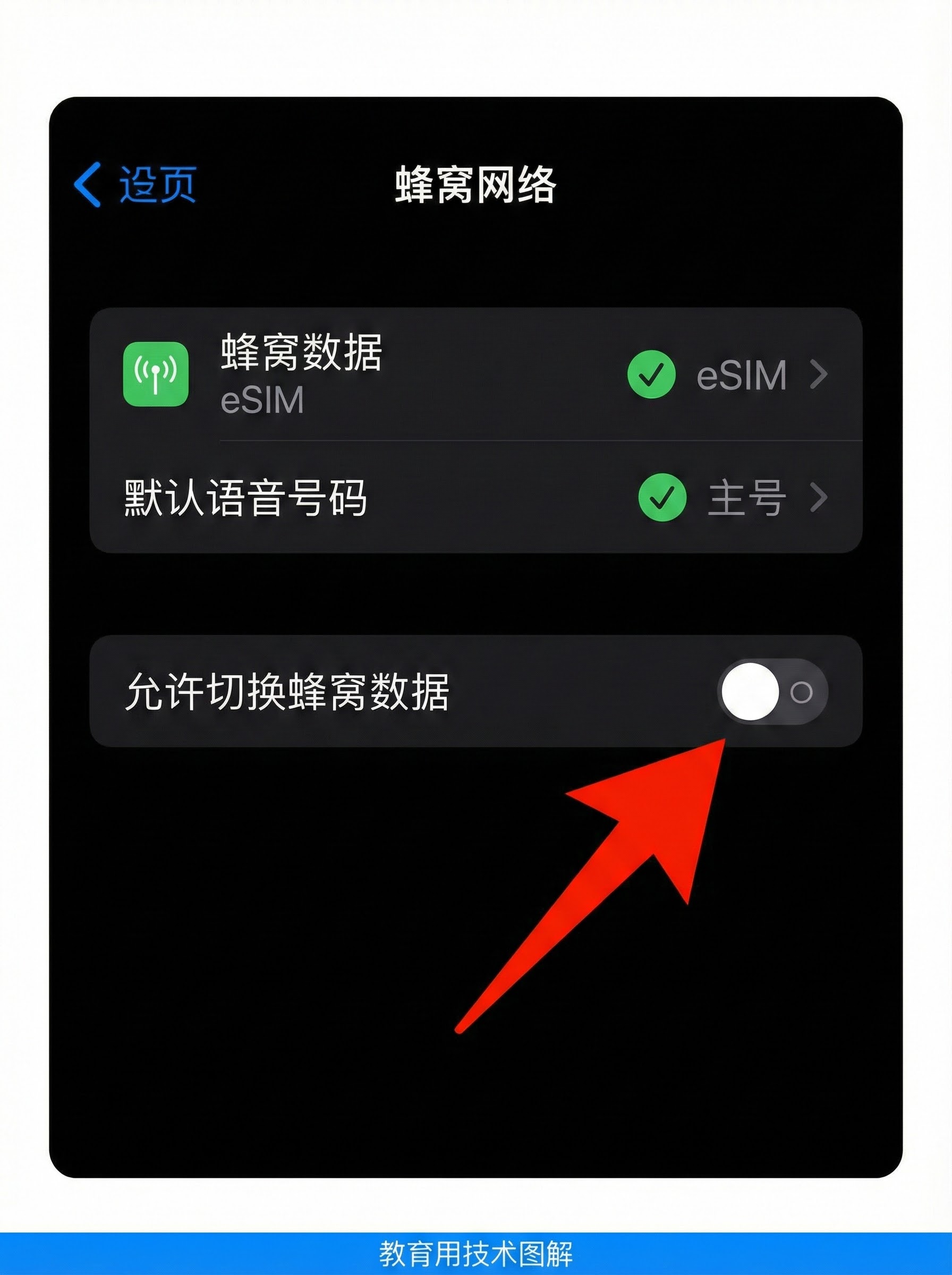iPhone蜂窝网络设置双卡