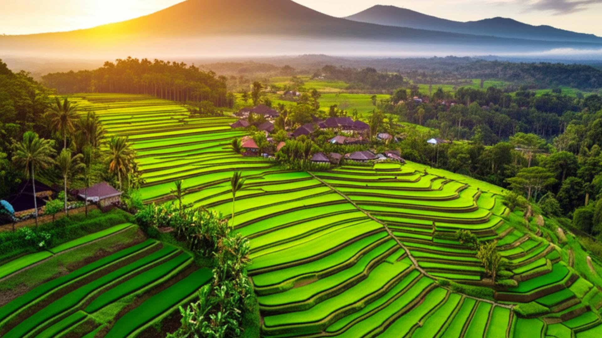 Bali İnternet Fiyatları: Bütçenize Uygun Seçenekler