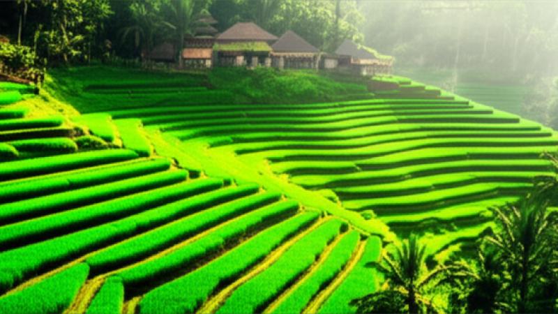 Bali'de İnternet mi Arıyorsun? İşte Bilmen Gerekenler