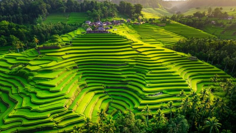 Bali İnterneti: Seyahatiniz İçin En İyi Seçenekler