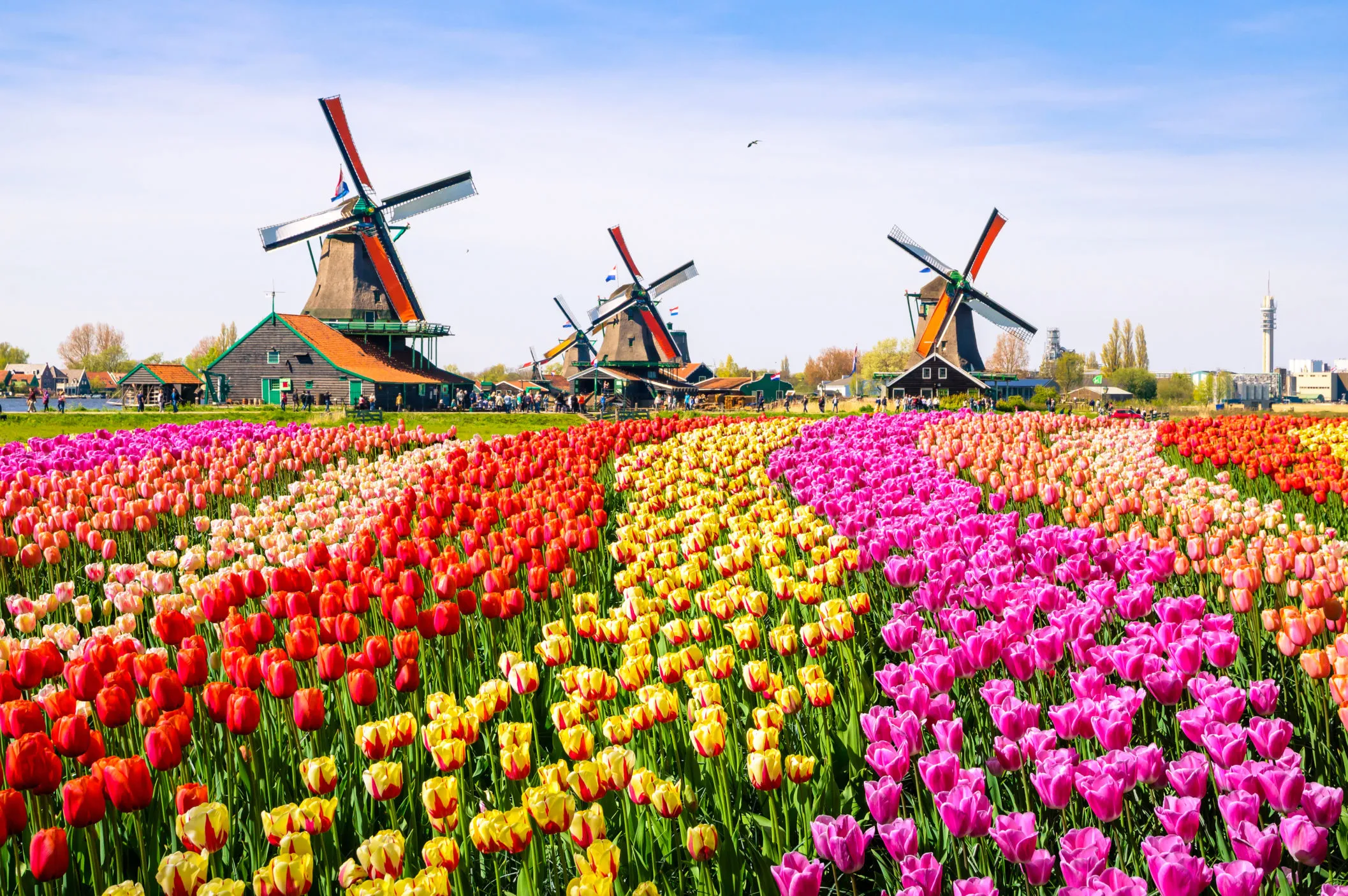 Kaufen Niederlande esim