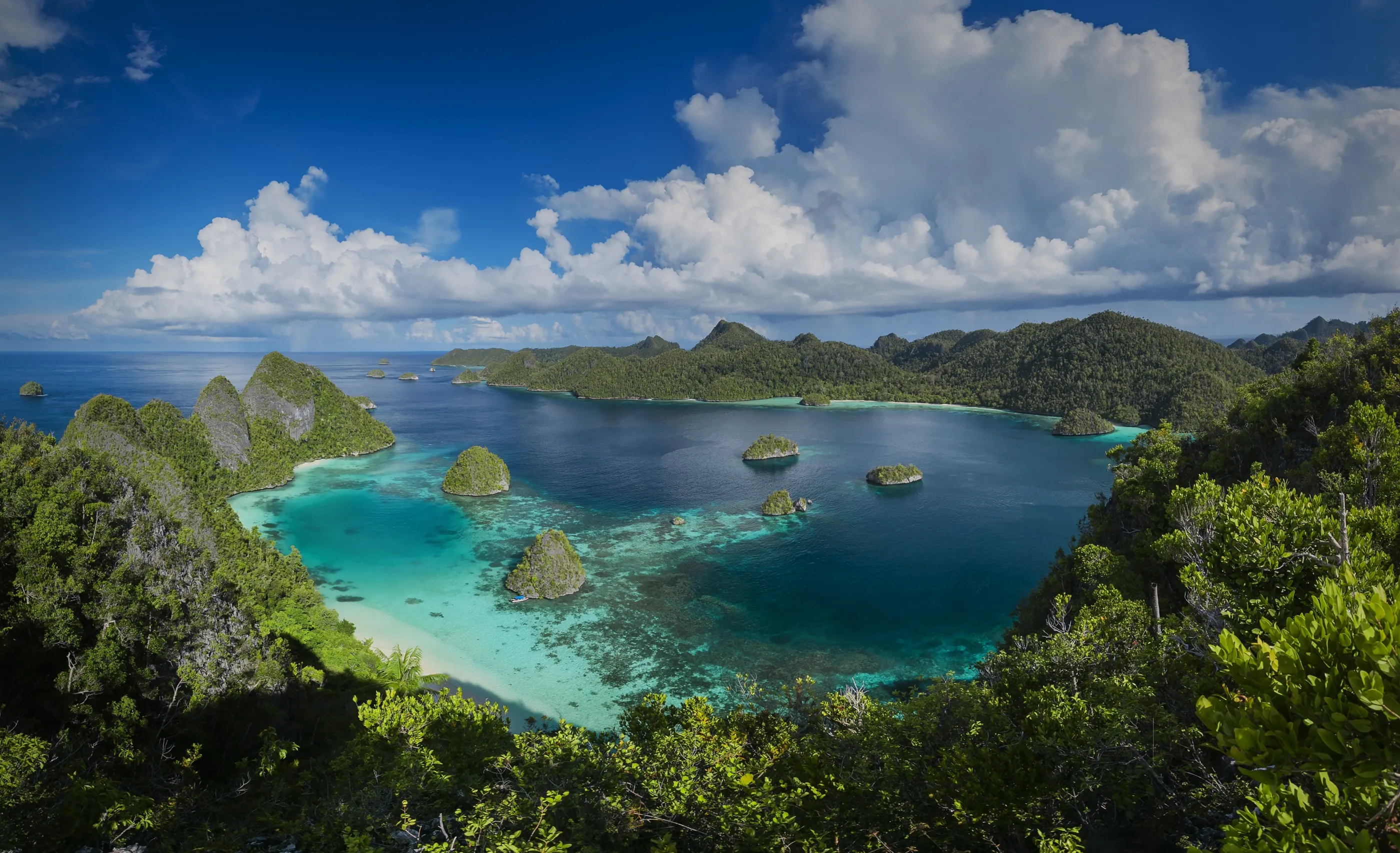 Kaufen Papua -Neuguinea esim