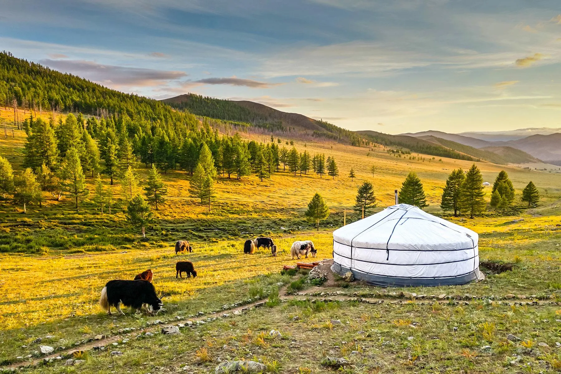 Kaufen Mongolei esim
