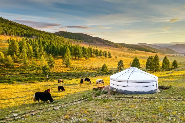 Mongolia eSIM