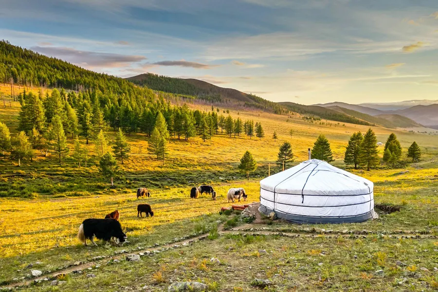 Buy Mongolia eSIM