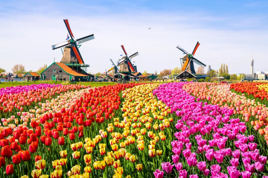 Buy Netherlands eSIM